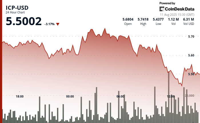 Internet Computer Slides From Peak as Sellers Dominate Before Recovery