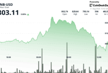 BNB Swings 4% in 24 Hours as Corporate Buying Tests $800 Resistance