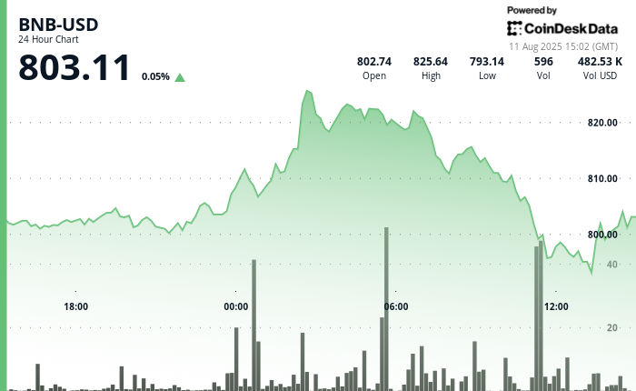 BNB Swings 4% in 24 Hours as Corporate Buying Tests $800 Resistance