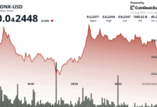Meme Coin Defends $0.000023 Level Despite 6% Drop