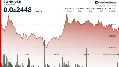 Meme Coin Defends $0.000023 Level Despite 6% Drop