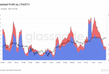 Bitcoin Profit Taking Appears Modest Even Near All-Time High