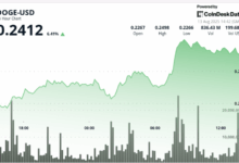 DOGE Jumps 7% as Bull Flag Breakout Signals Run Toward 30-Cents