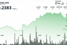 Whales Accumulate 1B DOGE as Price Gains 5.6%, Resistance at $0.238 Holds