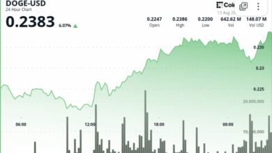 Whales Accumulate 1B DOGE as Price Gains 5.6%, Resistance at $0.238 Holds