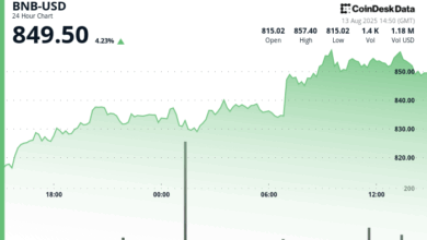 Why is BNB Up Today? Corporate Buyers Help Token Near Record High