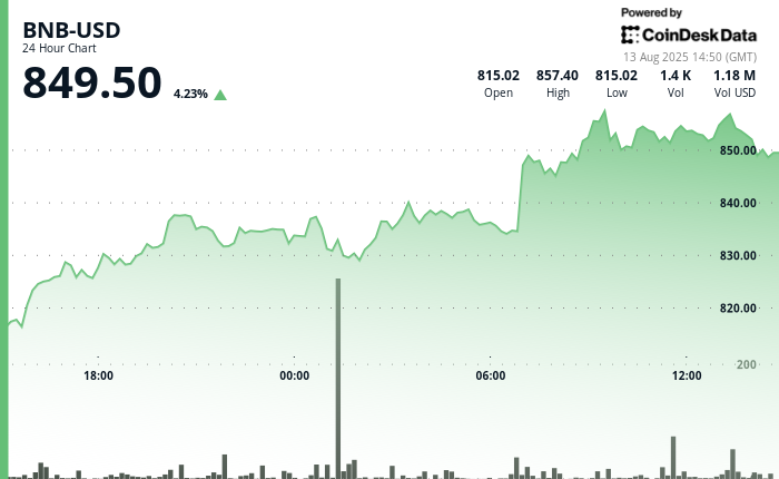 Why is BNB Up As we speak? Company Consumers Assist Token Close to File Excessive Why is BNB Up Today? Corporate Buyers Help Token Near Record High