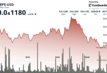 PEPE Drops 4% as Memecoin Sector Underperforms Broader Crypto Market