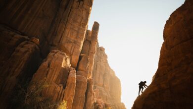 BTC Price Tests Support Before Aiming Higher: Crypto Daybook Americas