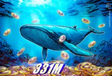 Pi Whale Wallet Amasses 331M Pi Coins