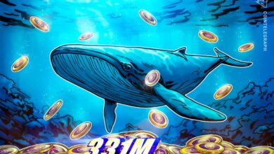 Pi Whale Wallet Amasses 331M Pi Coins