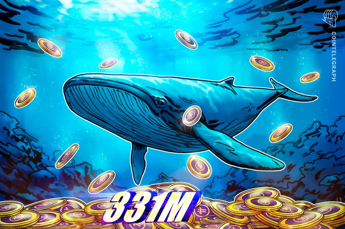 Pi Whale Pockets Amasses 331M Pi Cash Pi Whale Wallet Amasses 331M Pi Coins