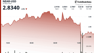 NEAR Protocol Tumbles 7% Following Failed Rally as Korean Exchanges Suspend Operations