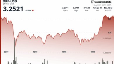 Rallies Above $3.25 After Ripple-SEC Settlement