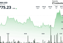 BNB Climbs Amid $500M Treasury Push, Then Pulls Back on Sell Pressure
