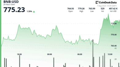 BNB Climbs Amid $500M Treasury Push, Then Pulls Back on Sell Pressure
