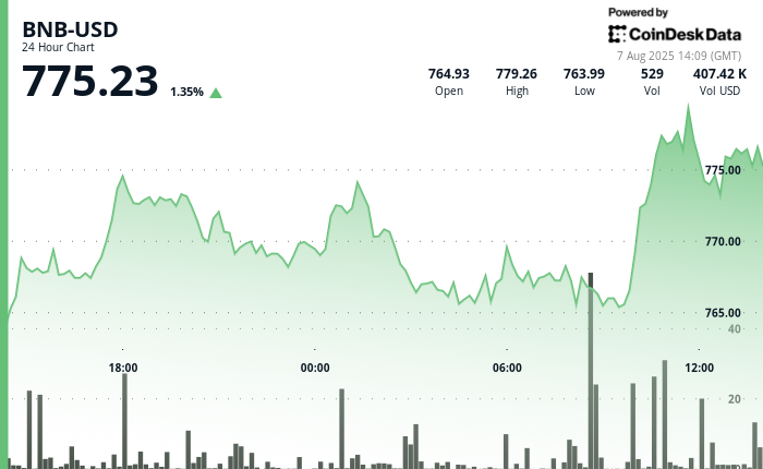 BNB Climbs Amid $500M Treasury Push, Then Pulls Back on Sell Pressure