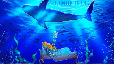 Quantum threat to Bitcoin? 80,000 BTC just moved after 14 years