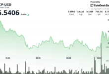 Internet Computer Token Sees Recovery as Buyers Defend $5.29 Support