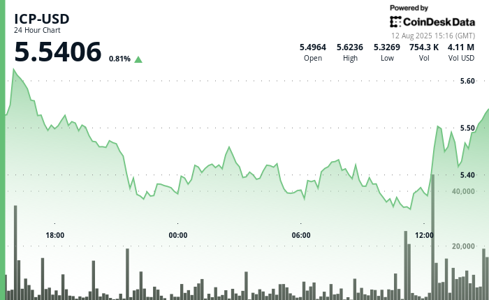 Internet Computer Token Sees Recovery as Buyers Defend $5.29 Support