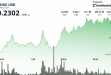 Dogecoin Hits $0.23 on Whale Buying, Supply Zone Stalls Breakout