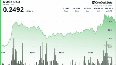 DOGE Jumps 7% on $200M Whale Buys as Futures Bets Top $3B