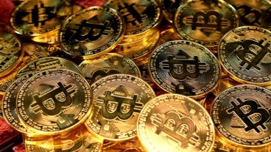 Treasury Assets, Options Bets, and Future Plans