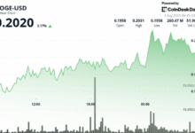 Dogecoin Rally Hits 20-Cents, But Holder Activity is Bullish Sign