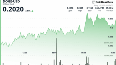 Dogecoin Rally Hits 20-Cents, But Holder Activity is Bullish Sign