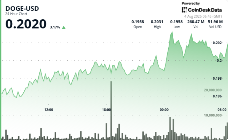 Dogecoin Rally Hits 20-Cents, However Holder Exercise is Bullish Signal Dogecoin Rally Hits 20-Cents, But Holder Activity is Bullish Sign