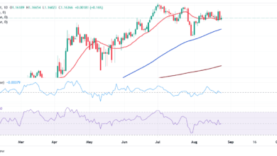 EUR/USD threads water below 1.1650
