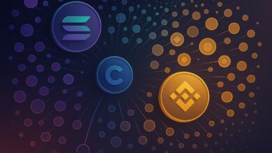 Crypto tokens explode from 20k in 2022 to 18.9M following launchpad frenzy on Solana, Base, BSC