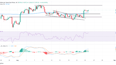 Gold clings to two-week highs as US Dollar stabilizes