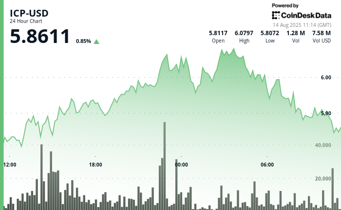 Internet Computer Hits $6.08 Then Falls Amid Volatile Trading