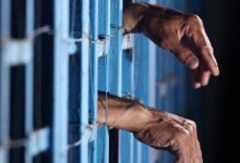 Czech Police Arrest Donor in Billion-Dollar Bitcoin Scandal