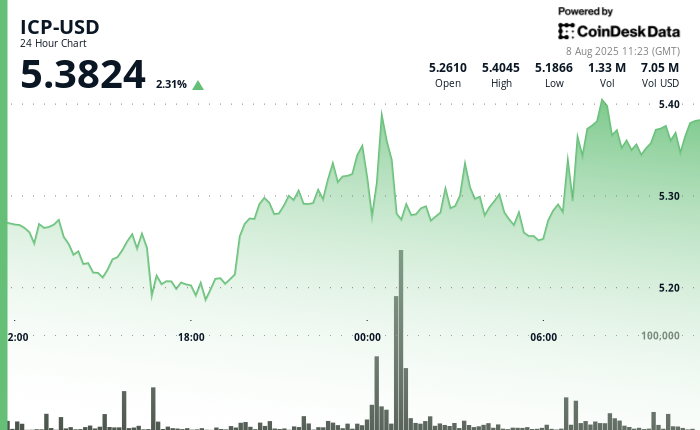 Internet Computer Rises on Heavy Buying and Resilient Price Structure