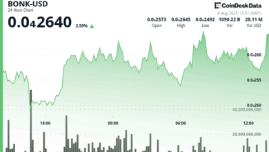 Solana Memecoin Climbs 1.7%, Faces Key Resistance