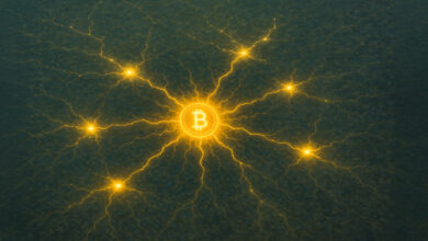 Why Lightning Network capacity declining 20% in 2025 is NOT as bad as it sounds