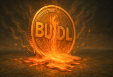 BlackRock’s BUIDL fund hit by $400M outflow in 30 days after 18-month record breaking $2.8B inflow