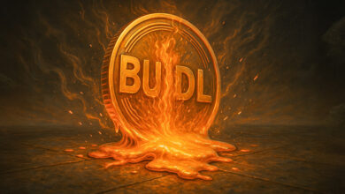 BlackRock’s BUIDL fund hit by $400M outflow in 30 days after 18-month record breaking $2.8B inflow