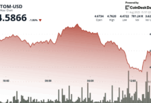 ATOM Experiences Sharp Decline After Brief Rally