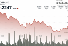 Sharp 7% Drop Sends DOGE Toward 22-Cents Support on High-Volume Selloff