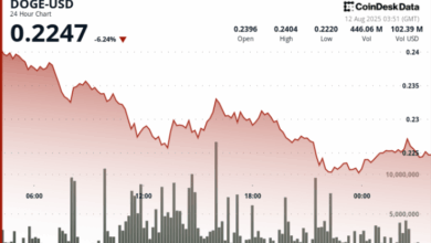 Sharp 7% Drop Sends DOGE Toward 22-Cents Support on High-Volume Selloff