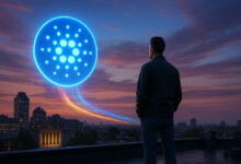 Long-term Cardano holders are not taking profit despite booming market, ETF speculation