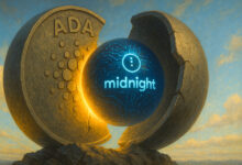 Cardano sidechain Midnight starts token distribution to ADA, XRP, BTC holders