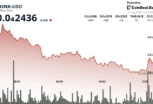 BONK Slides 6% to Test Key Support