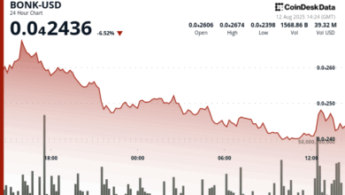 BONK Slides 6% to Test Key Support