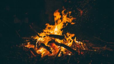 ADA, SOL Lead Futures Market Activity, SHIB Burn Rate Explodes