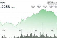 Gains 4% as Ripple-SEC Settlement Spurs Institutional Buying