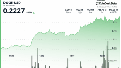 Dogecoin Surges 8% as Whale Buying Signals Bullish Breakout